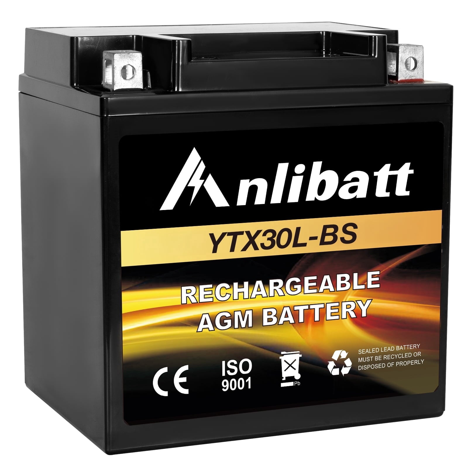 Anlibatt YTX14-BS Motorcycle Battery 12V 12Ah 200CCA Rechargeable Sealed Batteries Powersport Replacement for ATV, Scooter, Jet ski, Dirt Bike